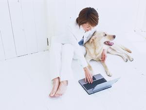 シルバーコインの販売を行っている専門店